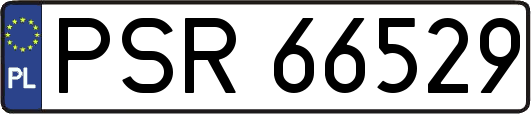 PSR66529