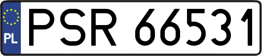 PSR66531