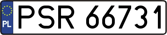 PSR66731