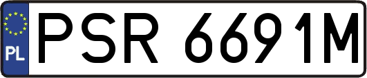 PSR6691M