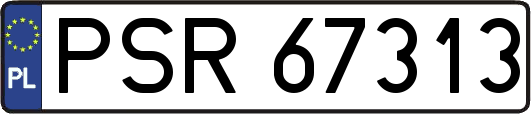 PSR67313