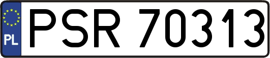 PSR70313