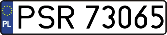 PSR73065