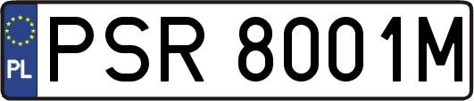PSR8001M