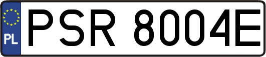 PSR8004E