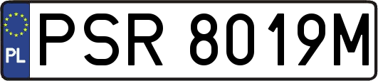 PSR8019M
