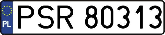 PSR80313