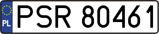 PSR80461