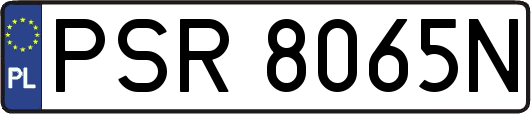 PSR8065N
