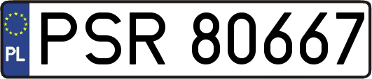 PSR80667