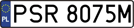 PSR8075M