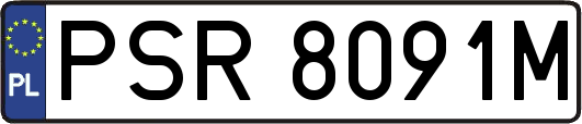 PSR8091M