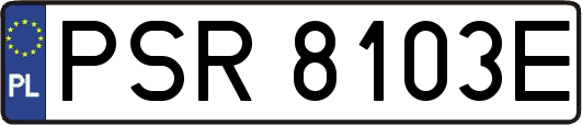 PSR8103E