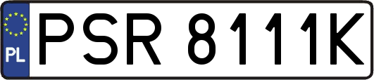 PSR8111K