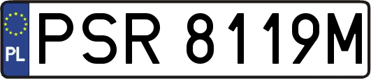 PSR8119M