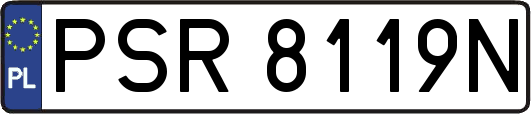 PSR8119N
