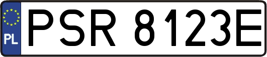 PSR8123E