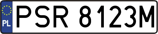 PSR8123M
