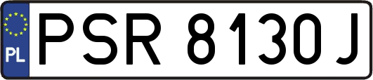 PSR8130J