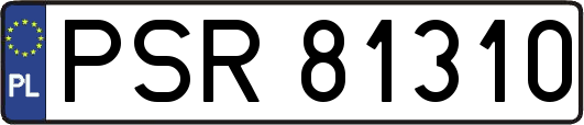 PSR81310