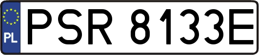 PSR8133E