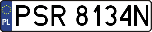 PSR8134N