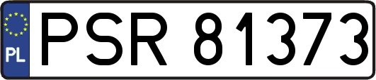 PSR81373