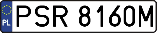 PSR8160M