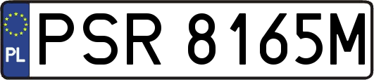 PSR8165M