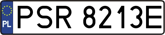 PSR8213E
