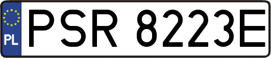 PSR8223E