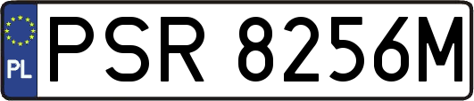 PSR8256M