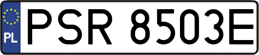 PSR8503E