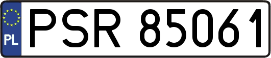 PSR85061