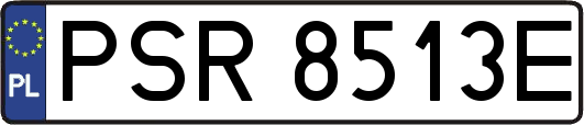PSR8513E
