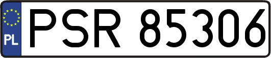 PSR85306