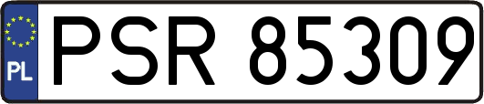 PSR85309