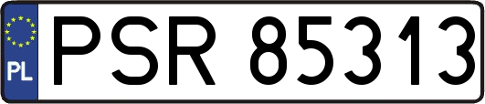 PSR85313