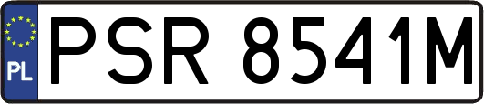 PSR8541M