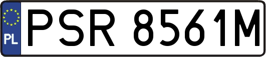 PSR8561M