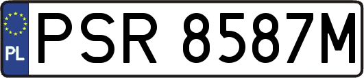 PSR8587M