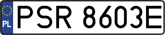 PSR8603E