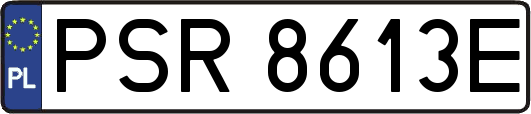PSR8613E