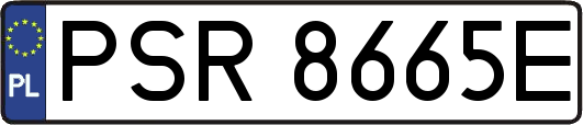 PSR8665E