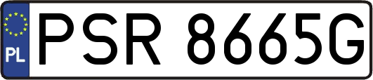 PSR8665G