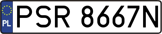 PSR8667N