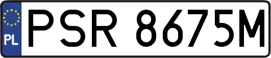 PSR8675M