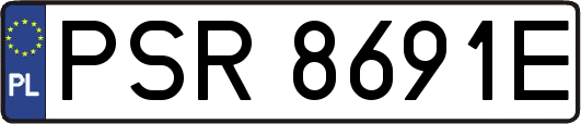 PSR8691E