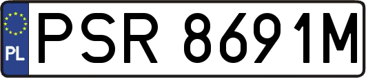 PSR8691M