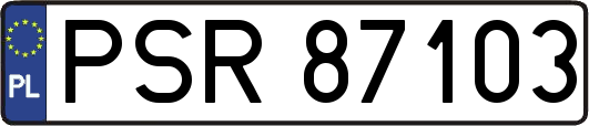 PSR87103